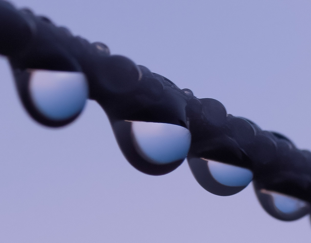 © John M Williams 2021