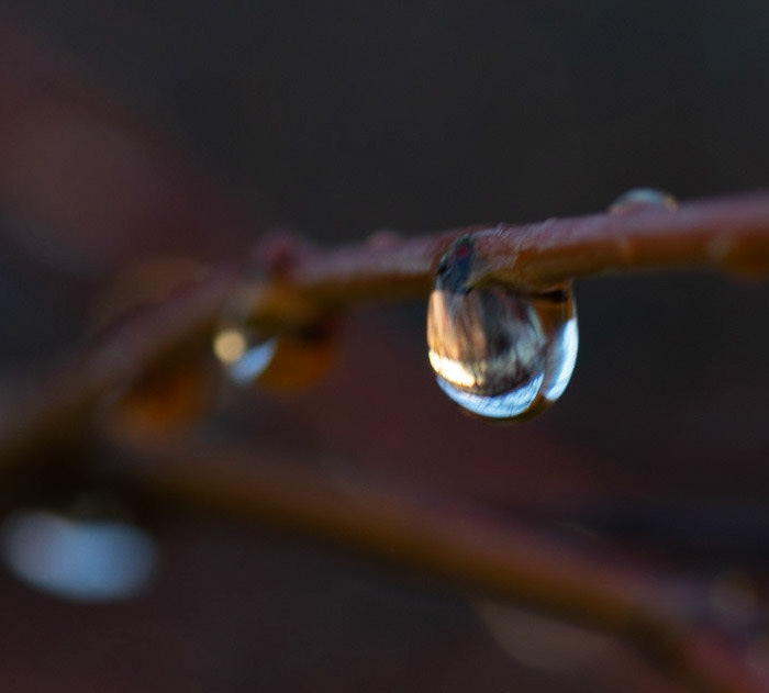 © John M Williams 2021