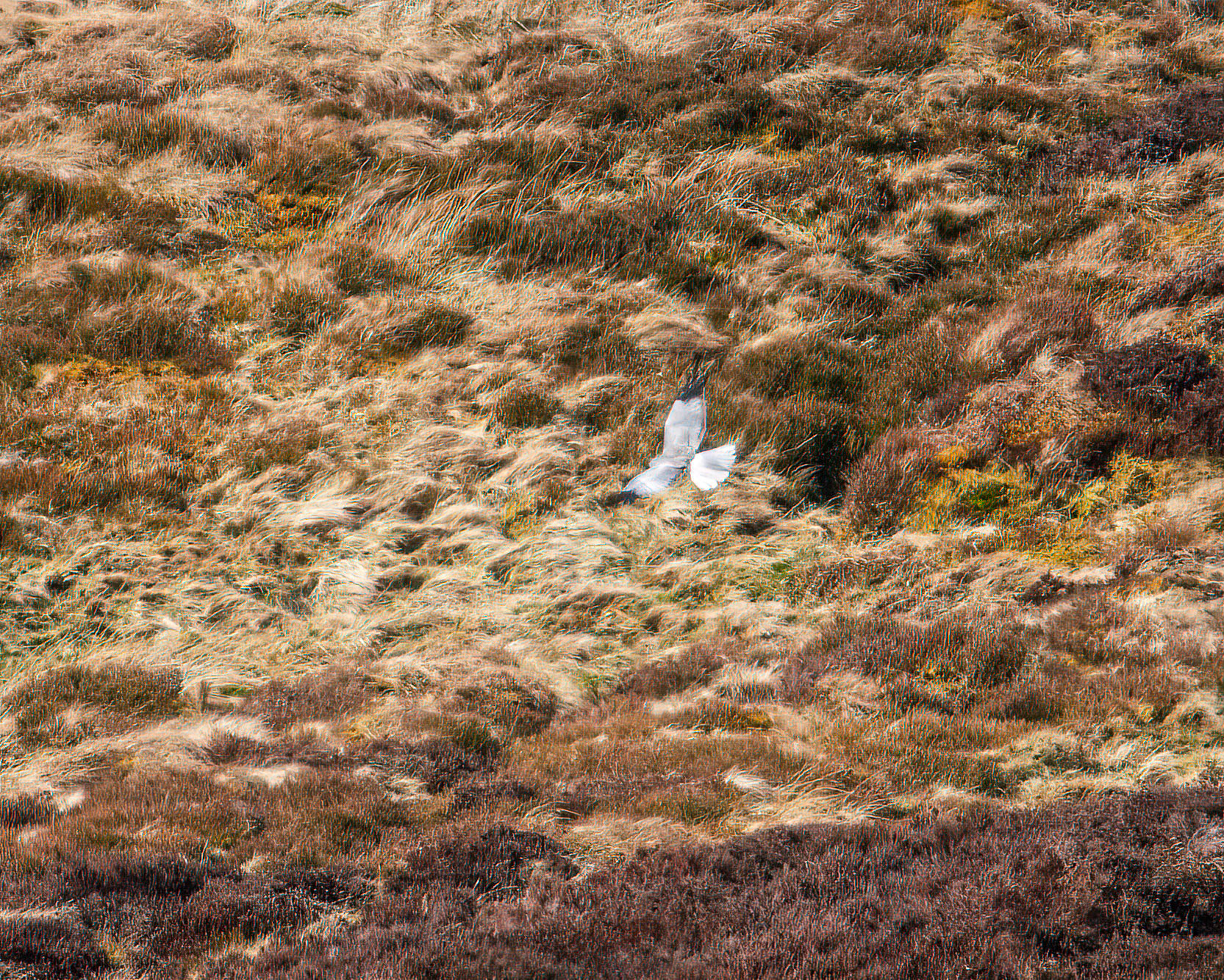 © John M Williams 2021