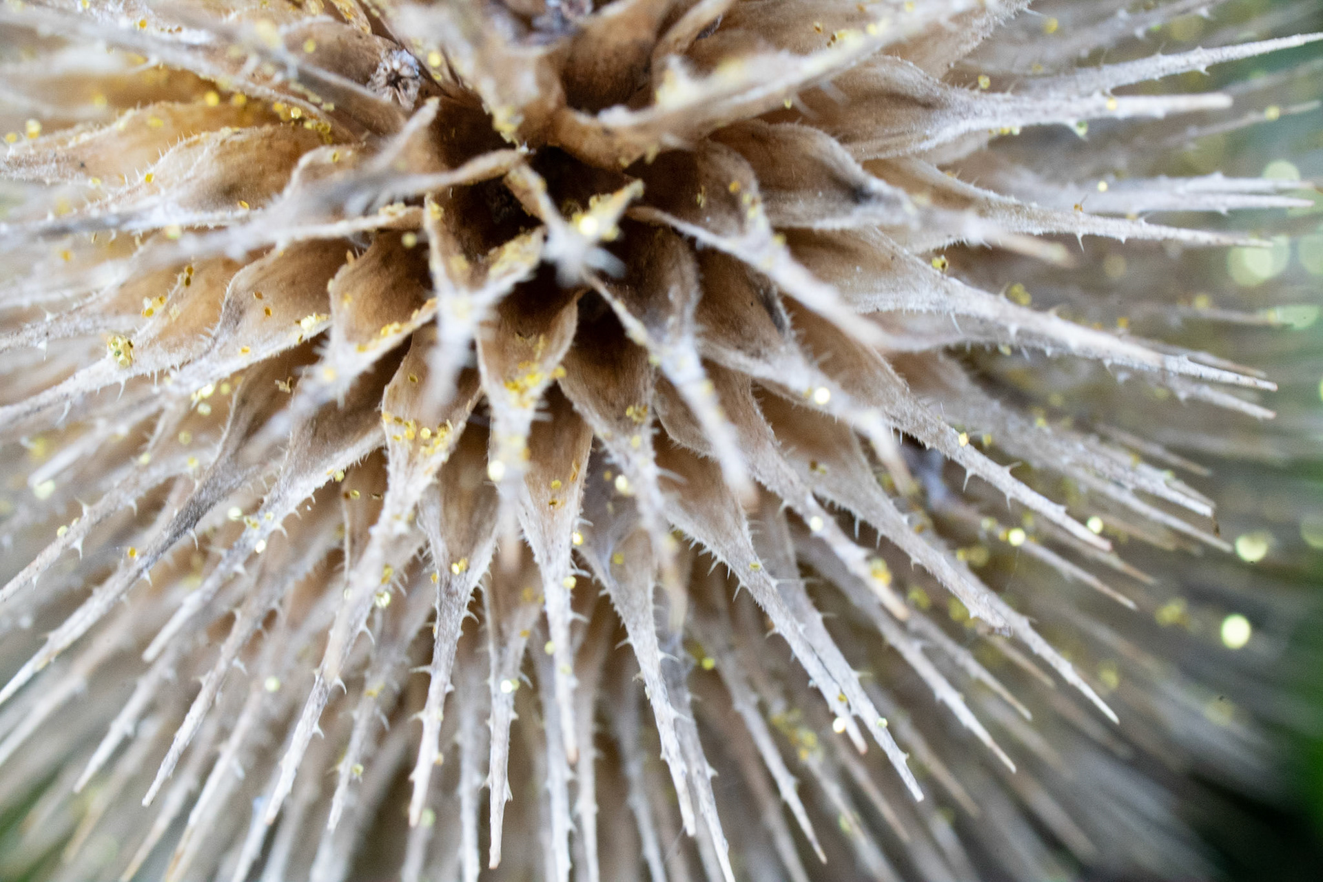 © John M Williams 2021