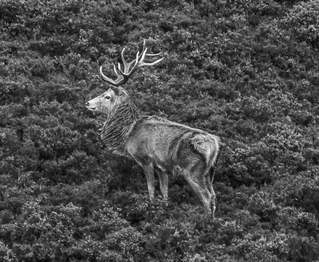 © John M Williams