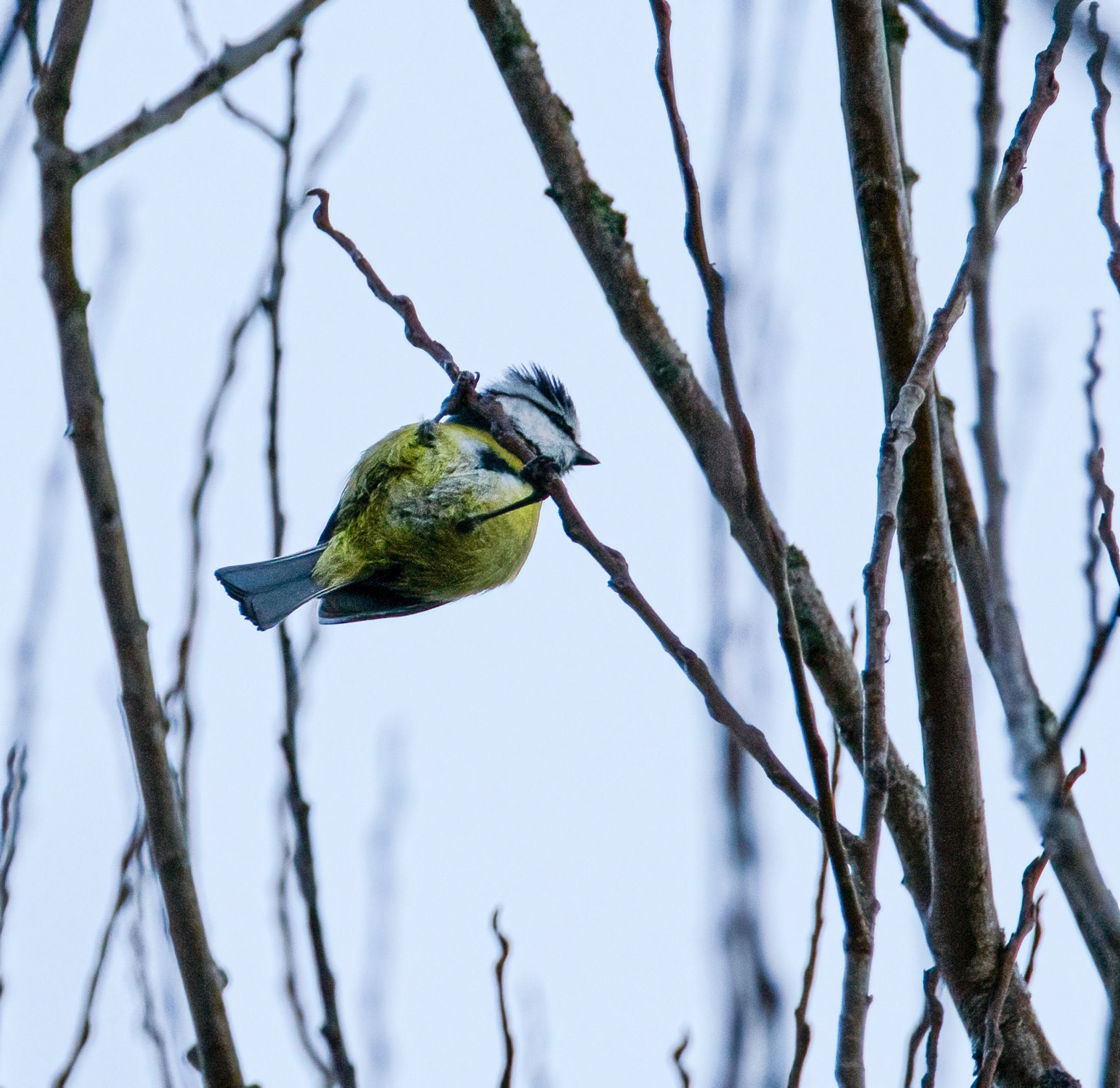 © John M Williams 2021