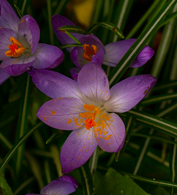 © John M Williams 2021