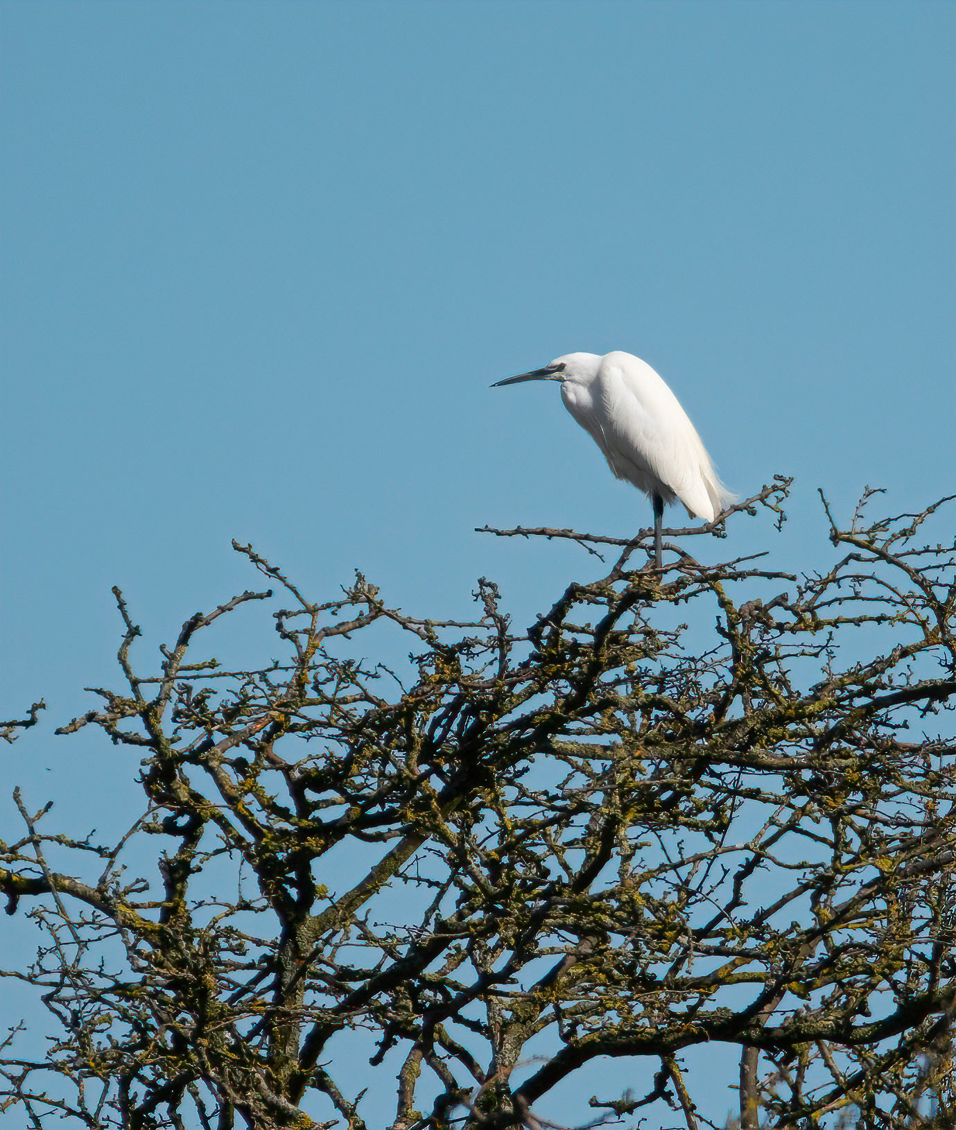 © John M Williams 2021