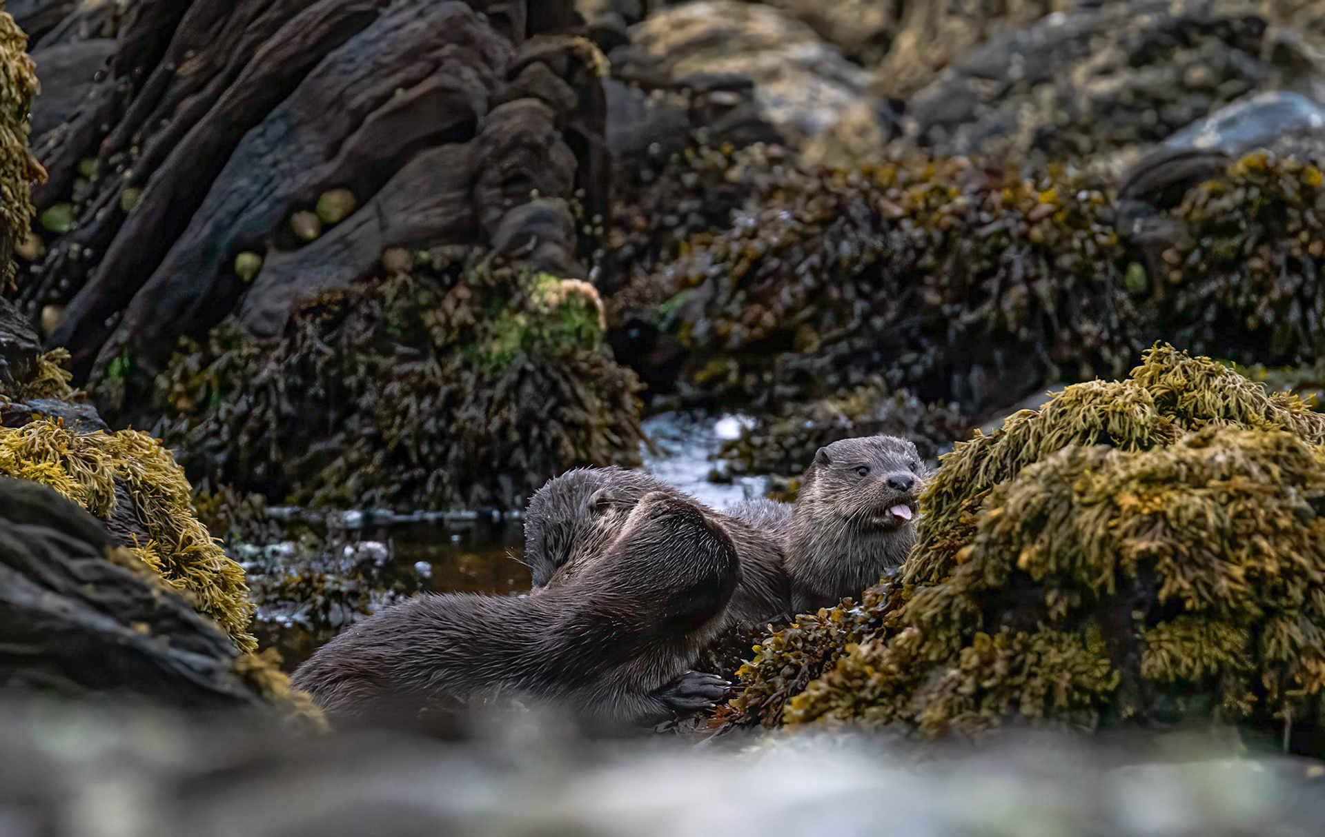 ©John M Williams