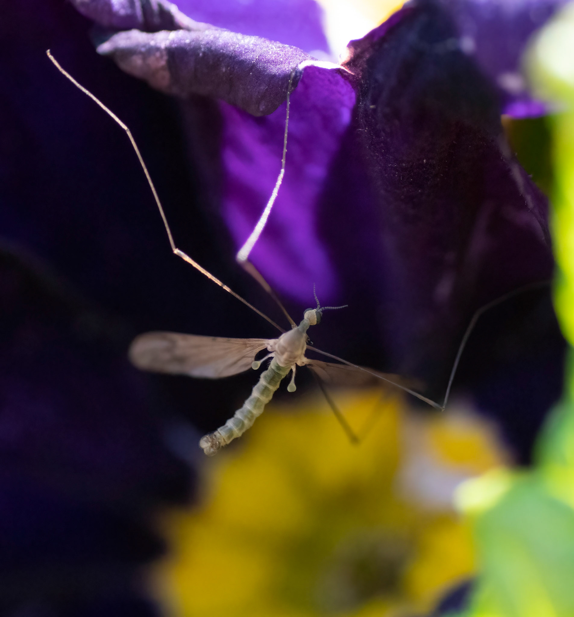 © John M Williams 2021