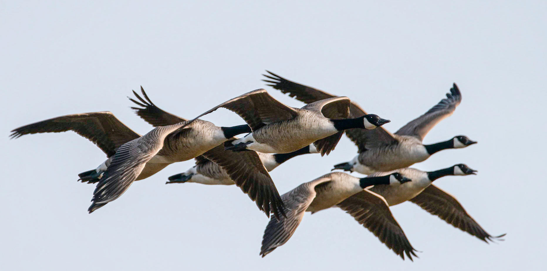 © John M Williams 2021