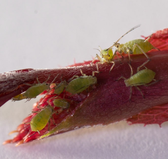 © John M Williams 2021