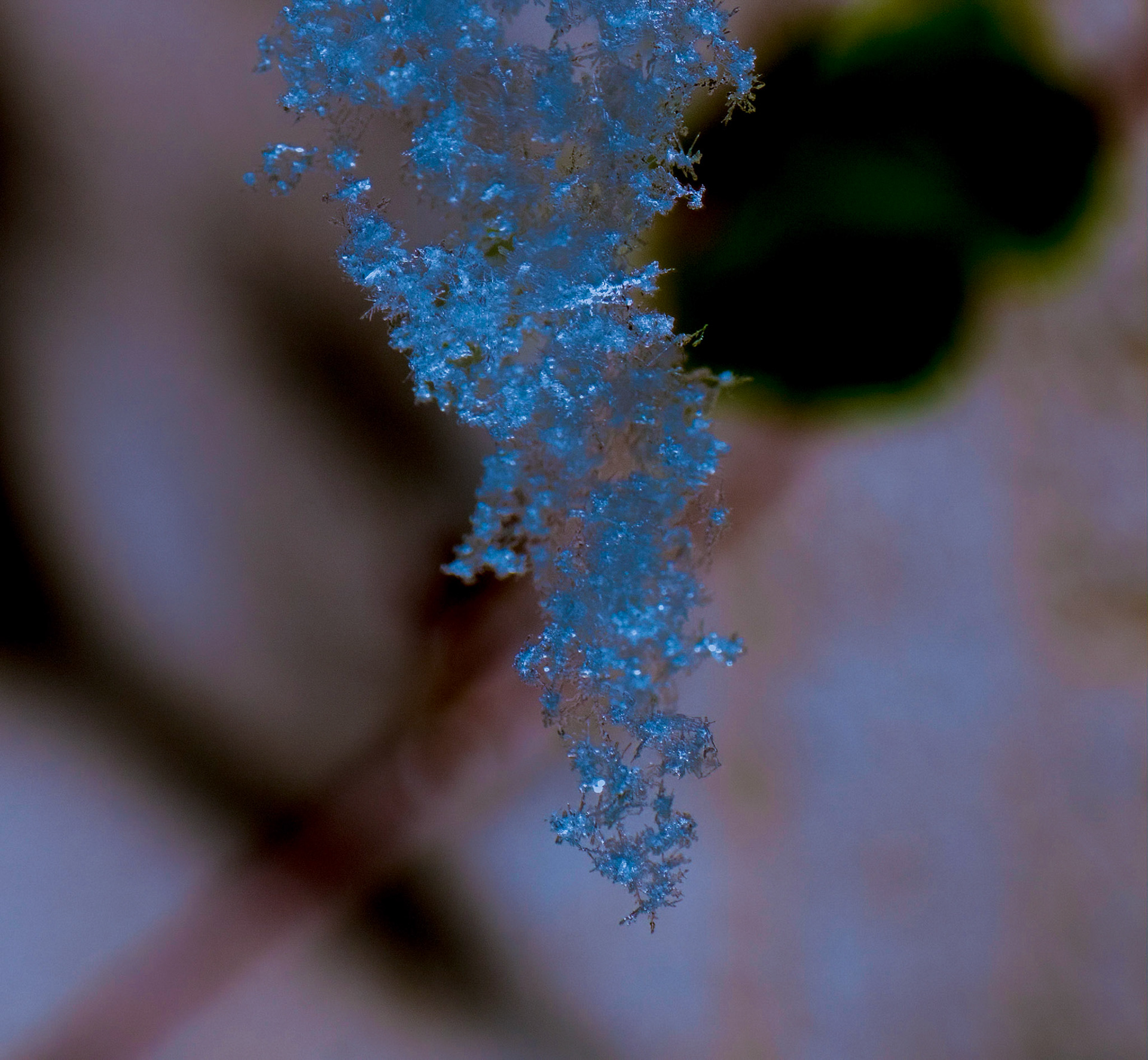 © John M Williams 2021