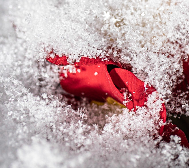 © John M Williams 2021