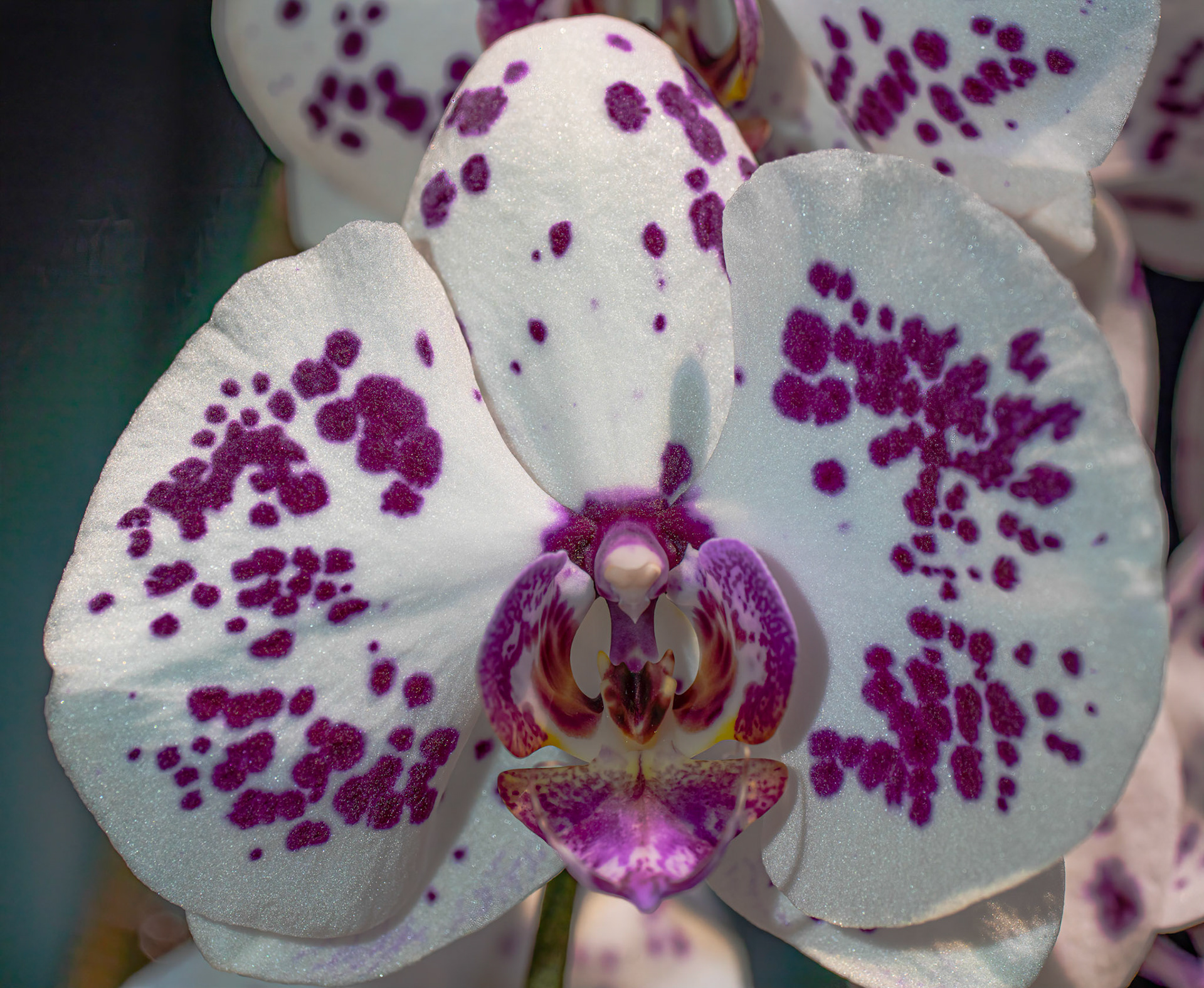 © John M Williams 2021