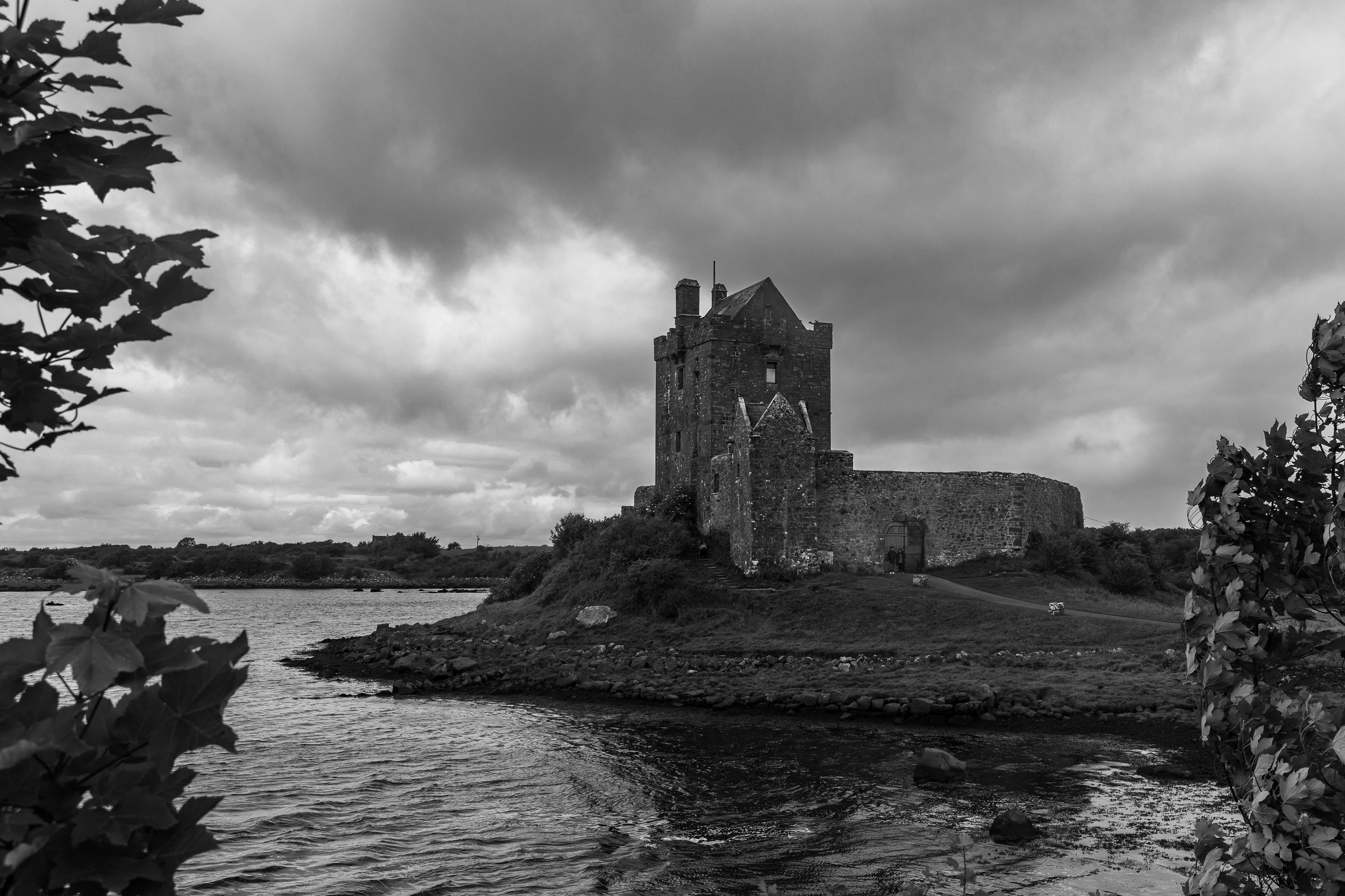 Dunguaire Castle