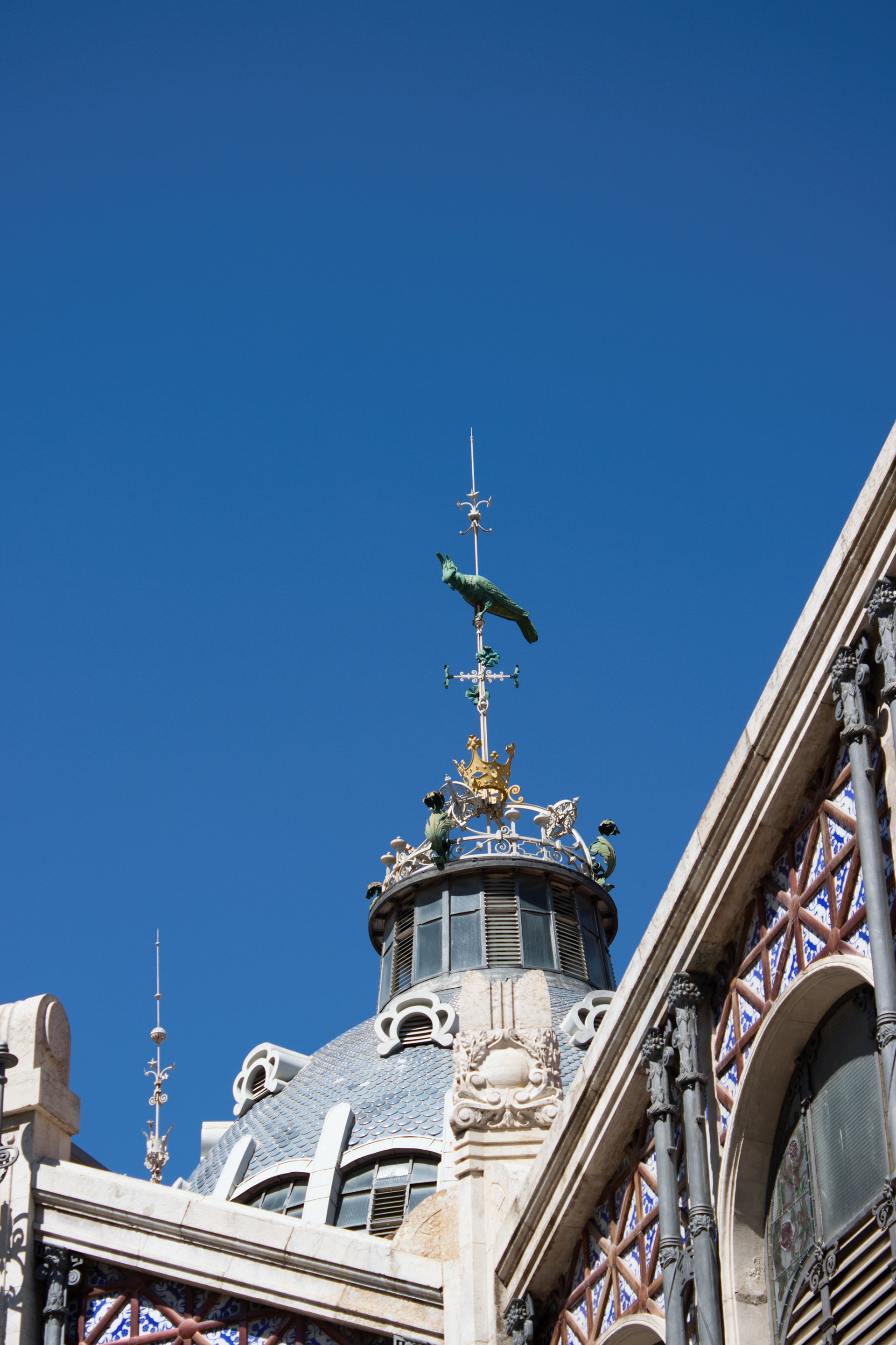 La Cotorra del Mercat
