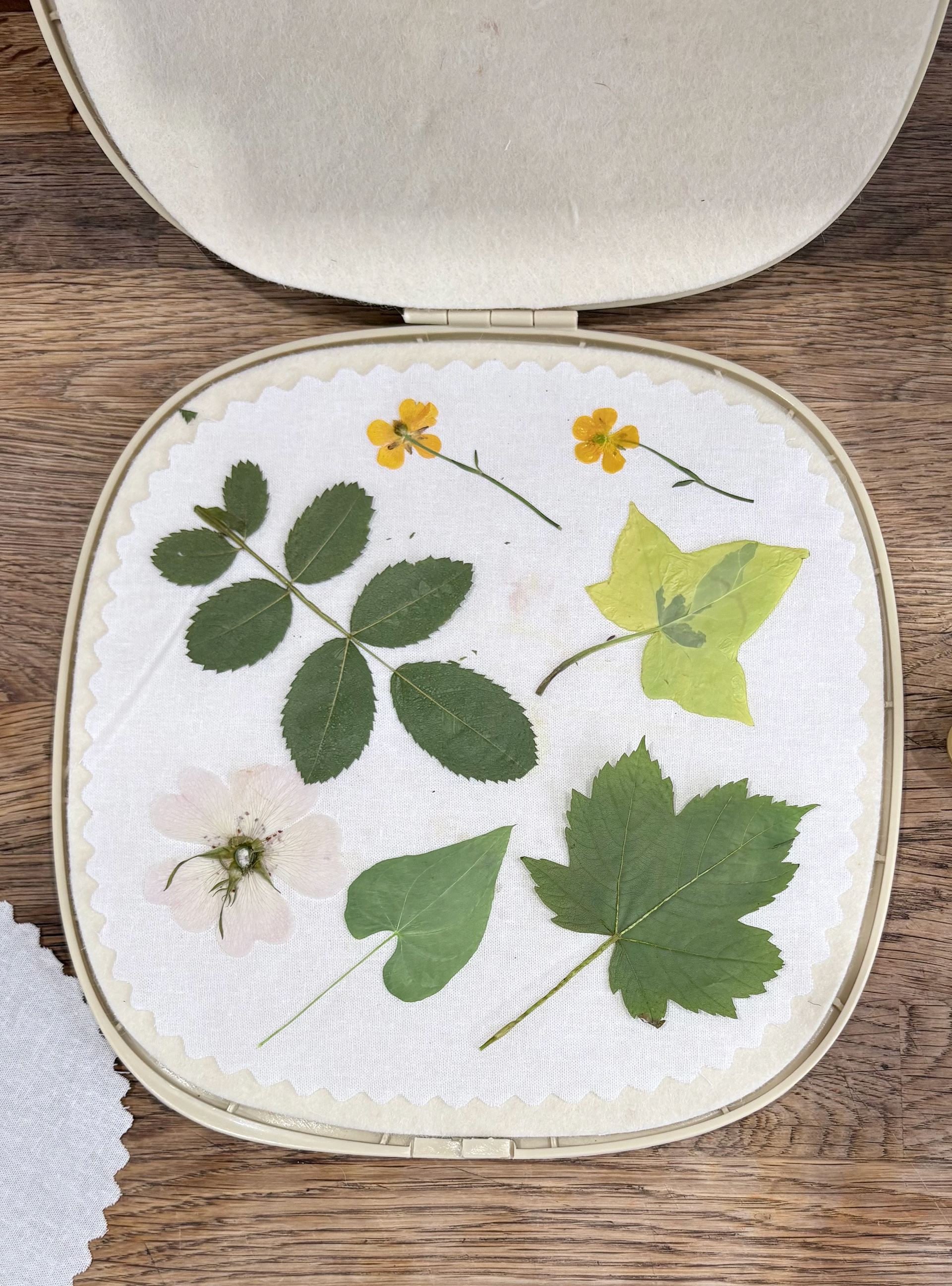 Pressing foraged leaves