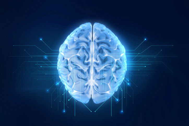 3d rendering of human  brain on technology background  represent artificial intelligence and cyber space concept