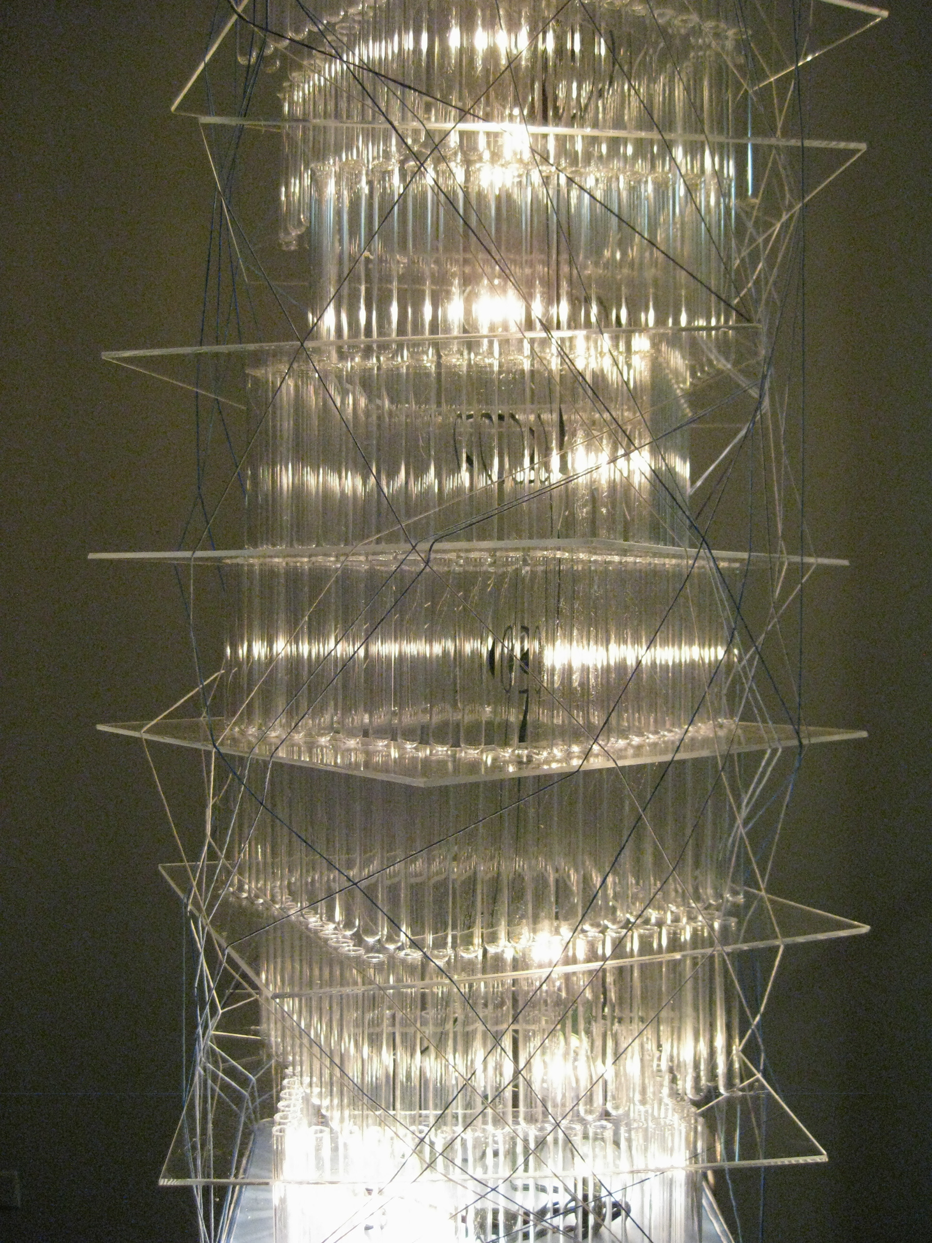 Submerged at Matchbox Gallery