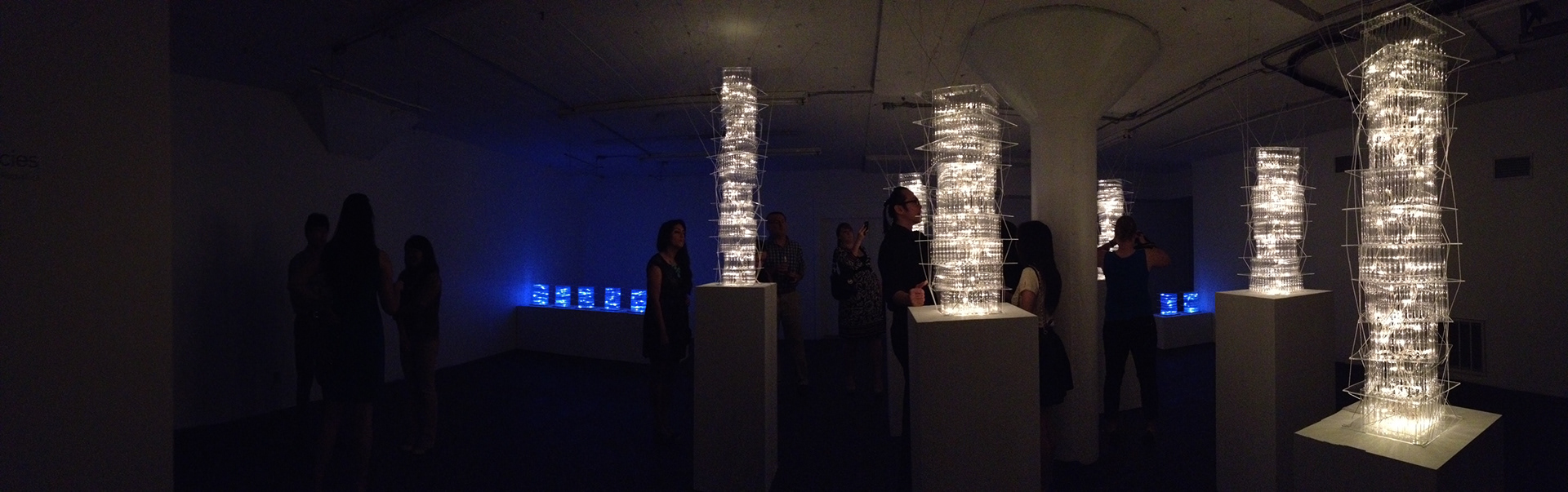 Submerged: Origins of a Species