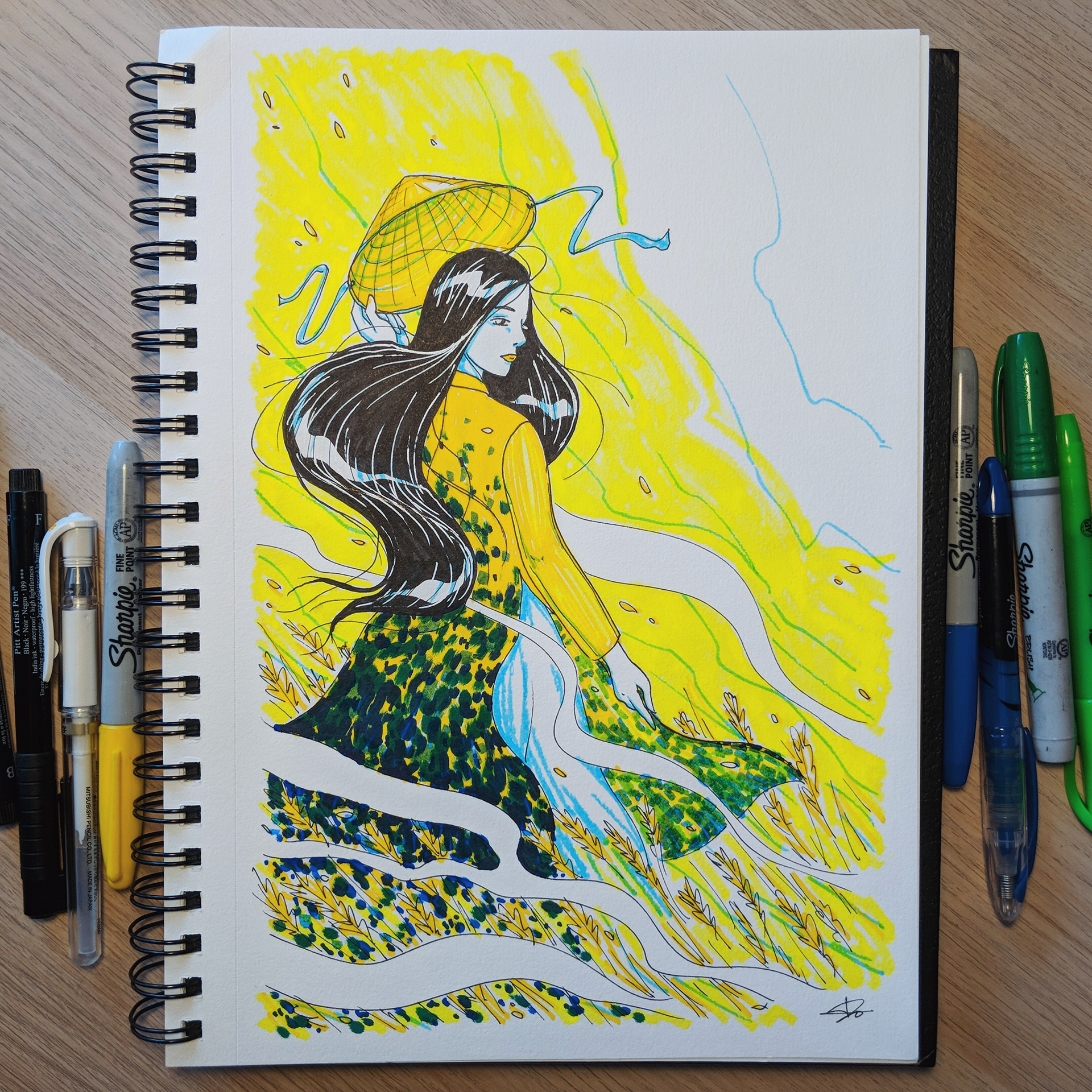 Vietnamese traditional dress illustration
