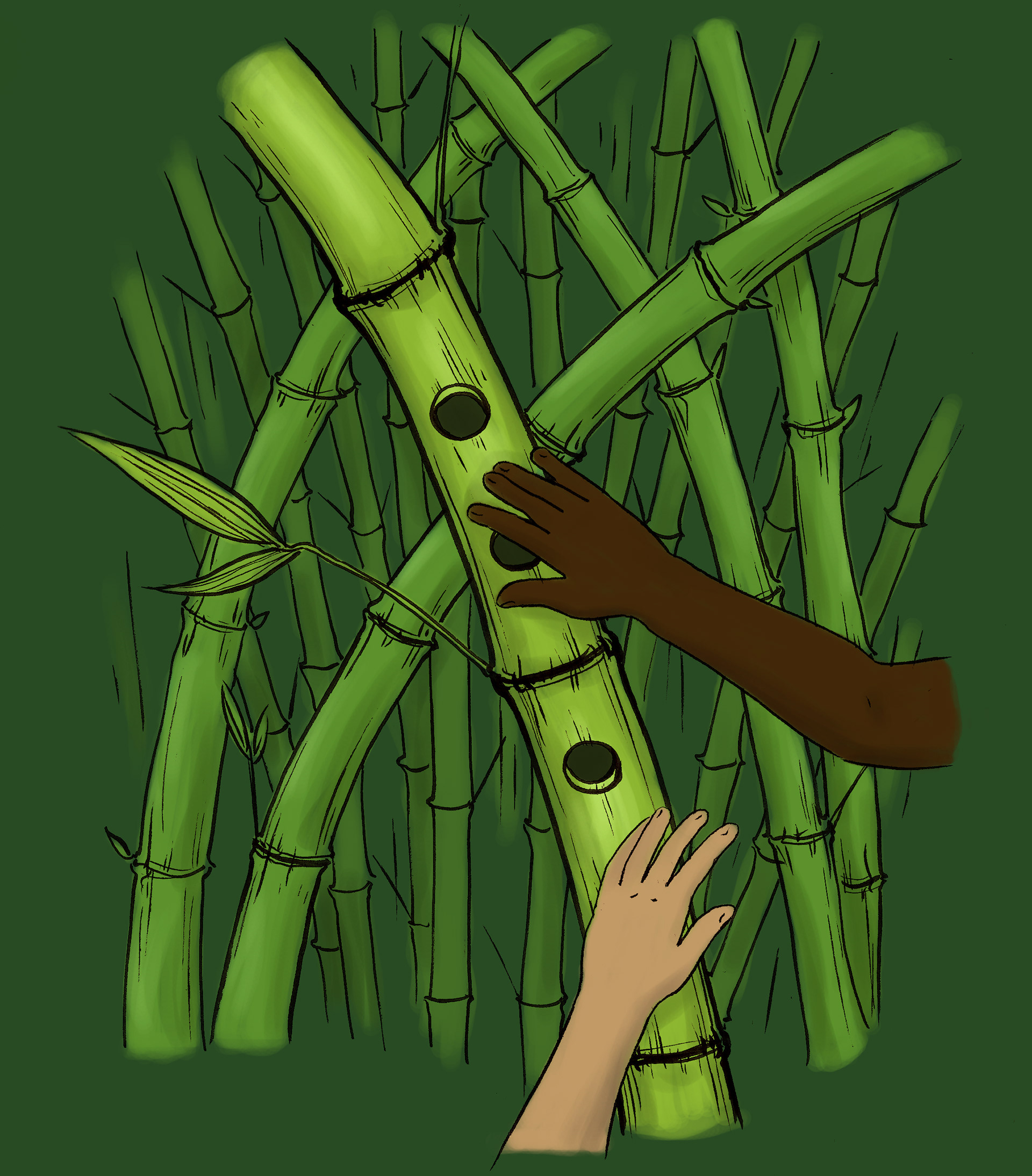 Musical station: Bamboo Tangle