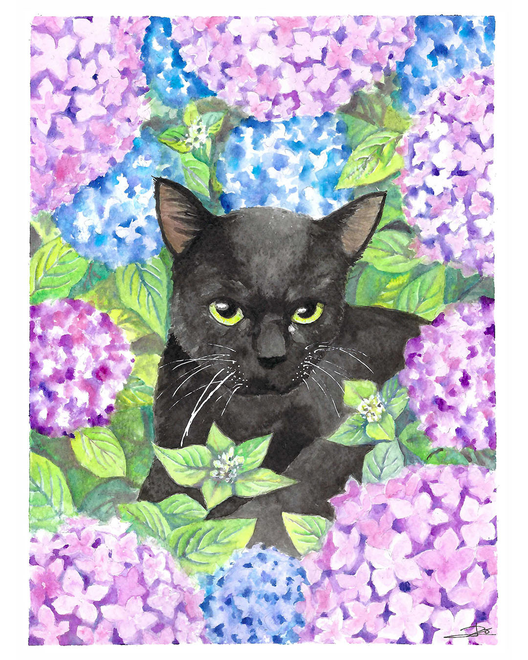 Cat commission