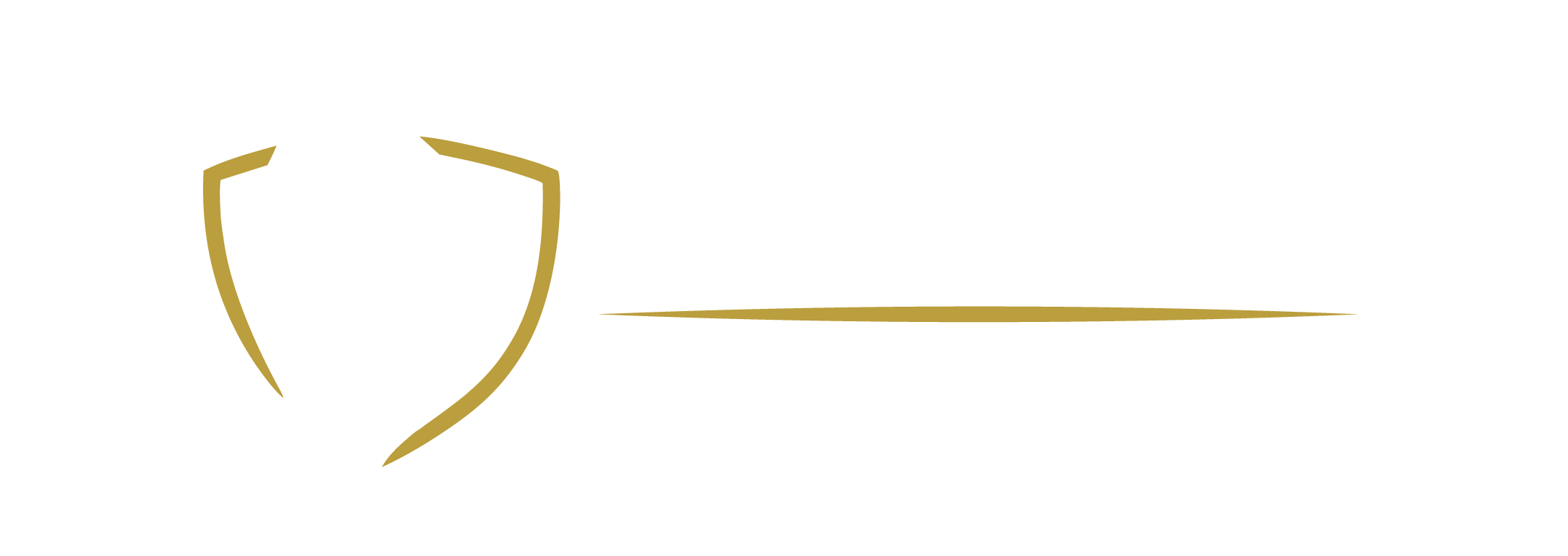AFEMA Seguridad