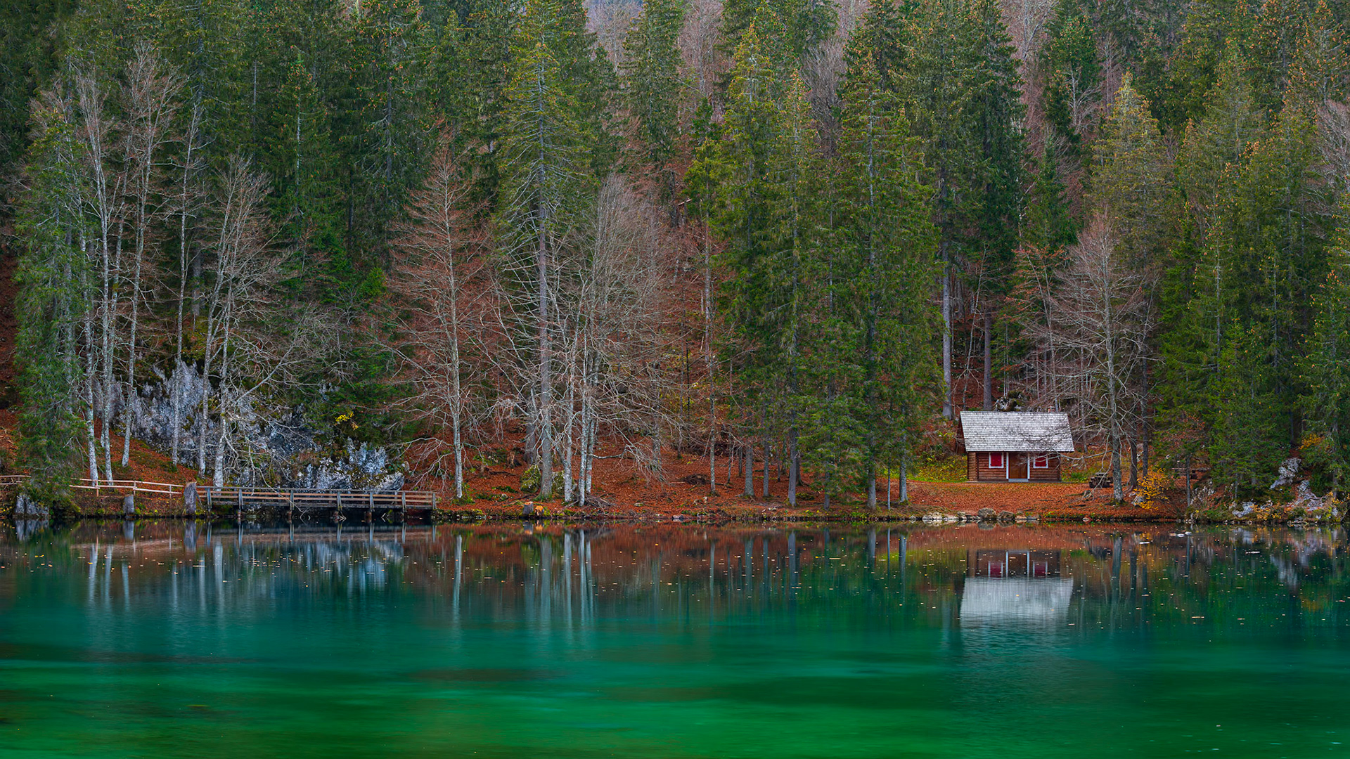 The hut