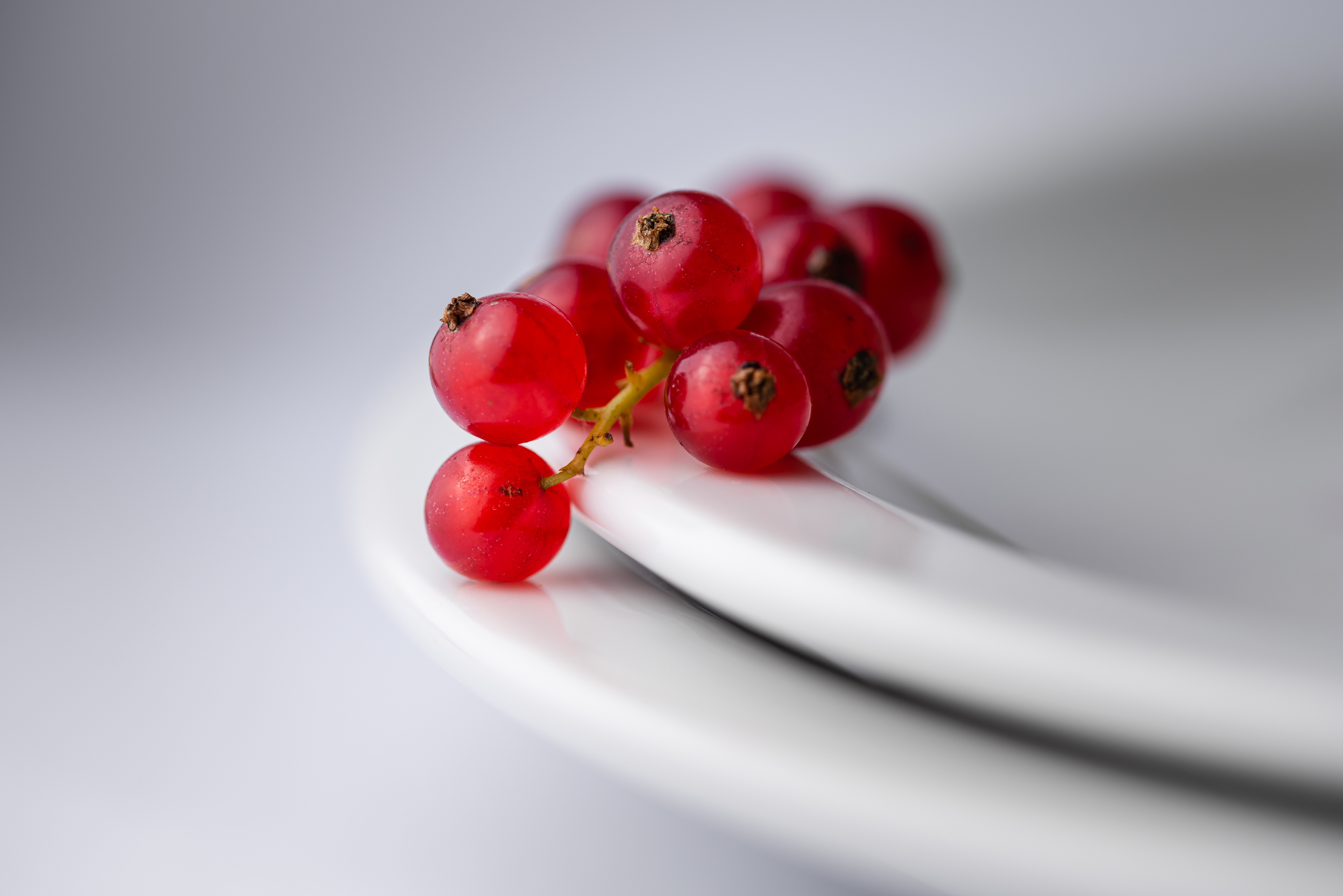 Stillevenfotografie door fotografie Kiektj heej! 