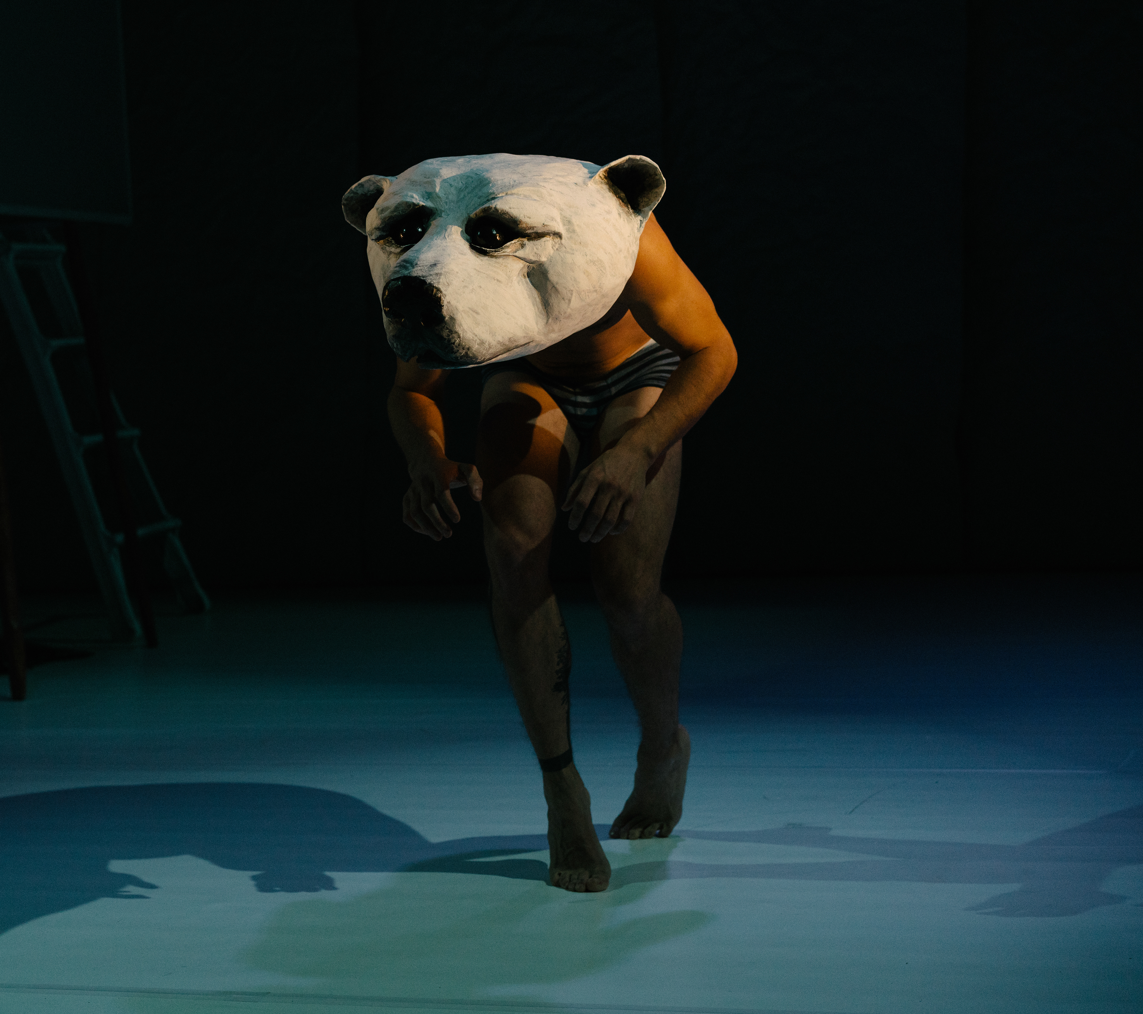 Theatre Incline: Nordicité