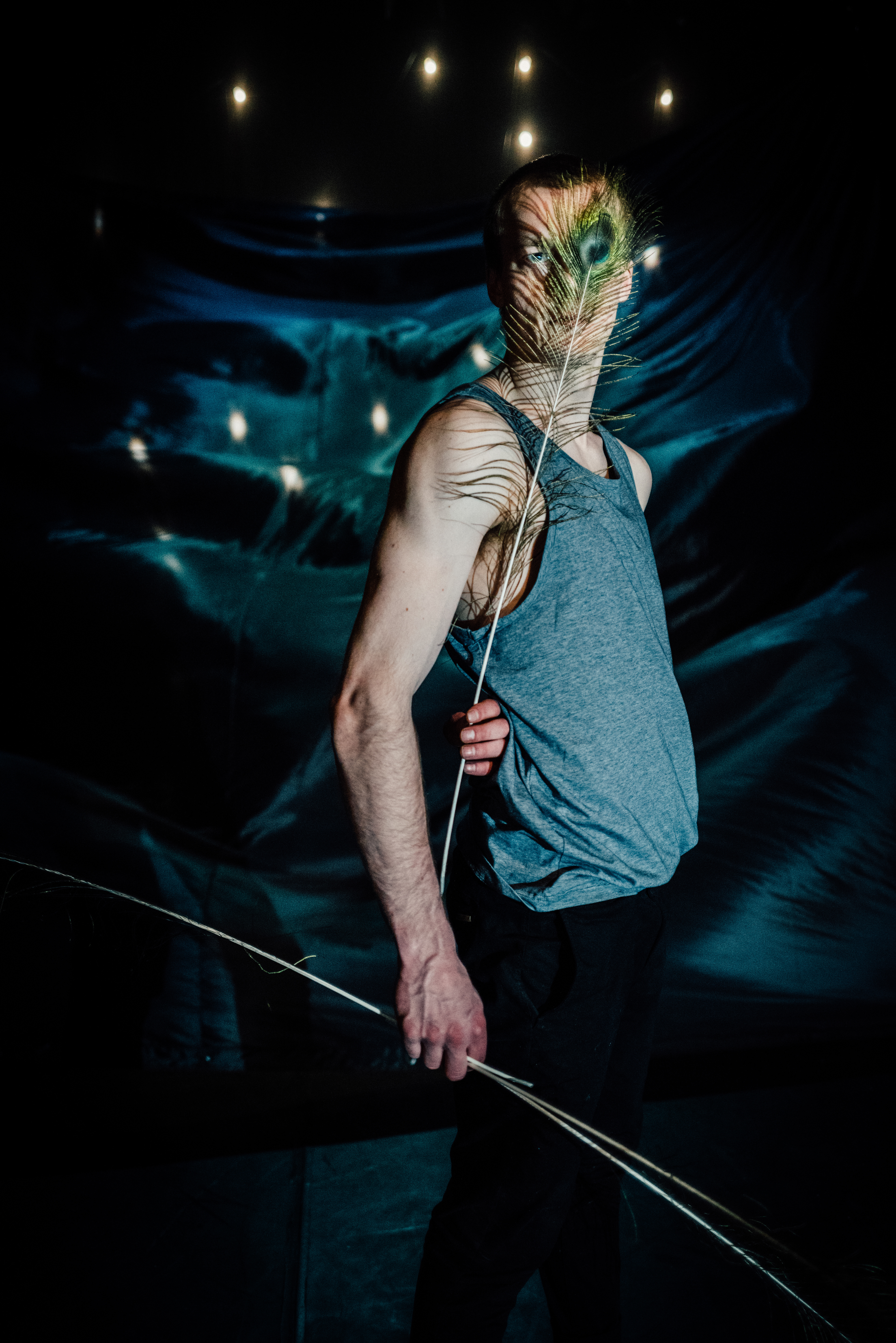 Circo Aereo: Kinema
