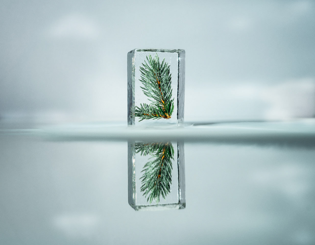 Nordic Ice Company