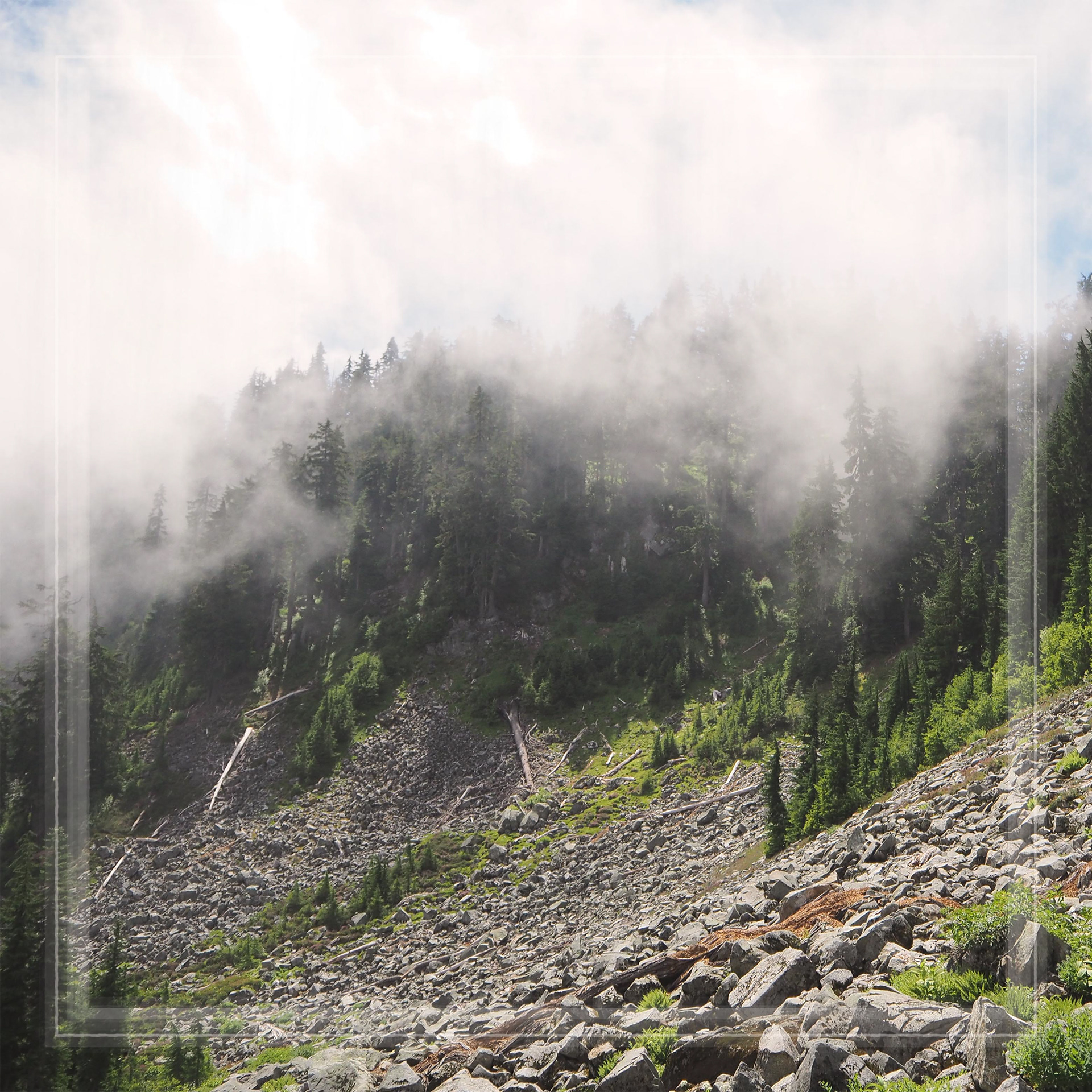 Mountain Sounds / 2019