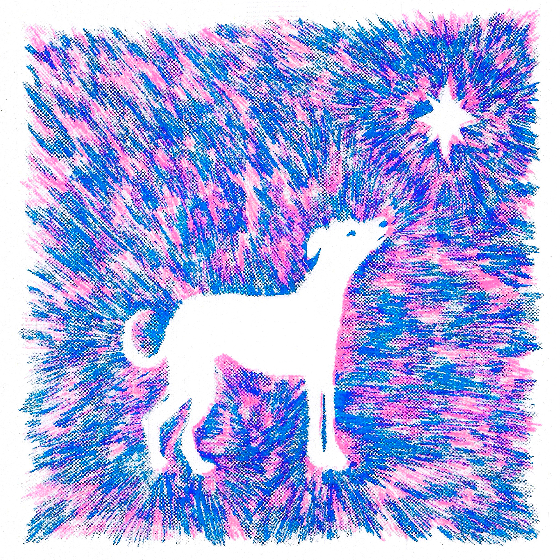 Stardog riso print