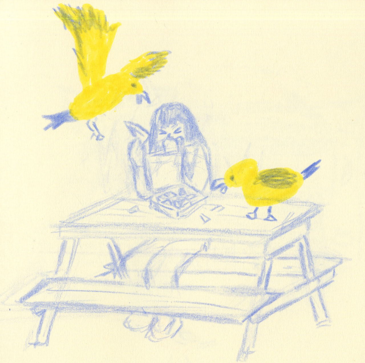 Seagull attack sketch