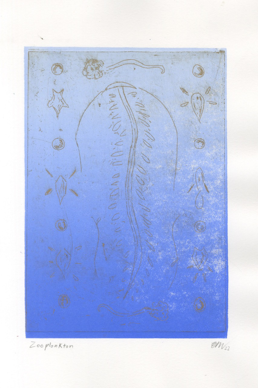 Zooplankton alternative gradient print
