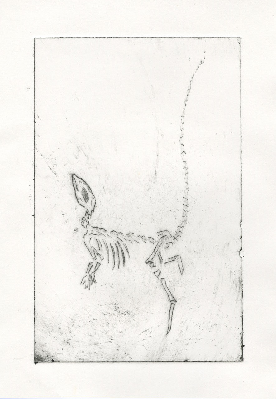 Dancing dino - Drypoint etching