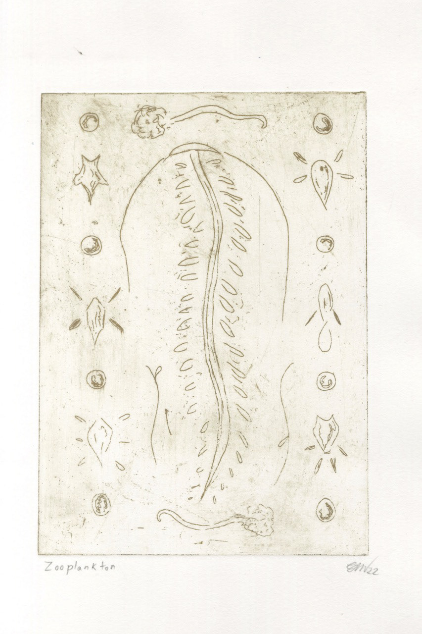 Phytoplankton - Acid etching