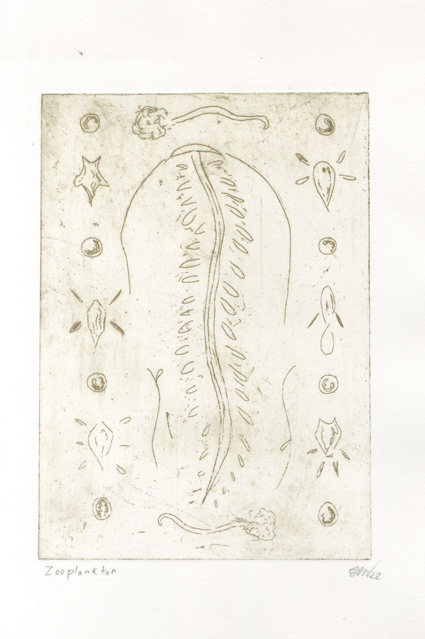 Zooplankton final etching print