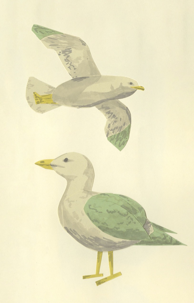 Seagull papercut collages