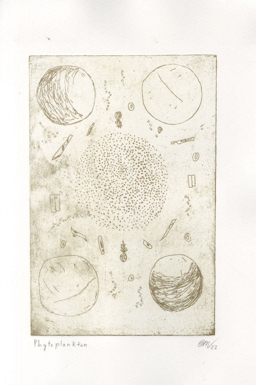 Phytoplankton final etching print