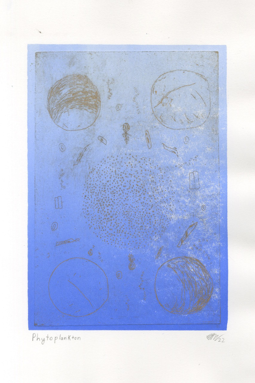 Phytoplankton alternative gradient print