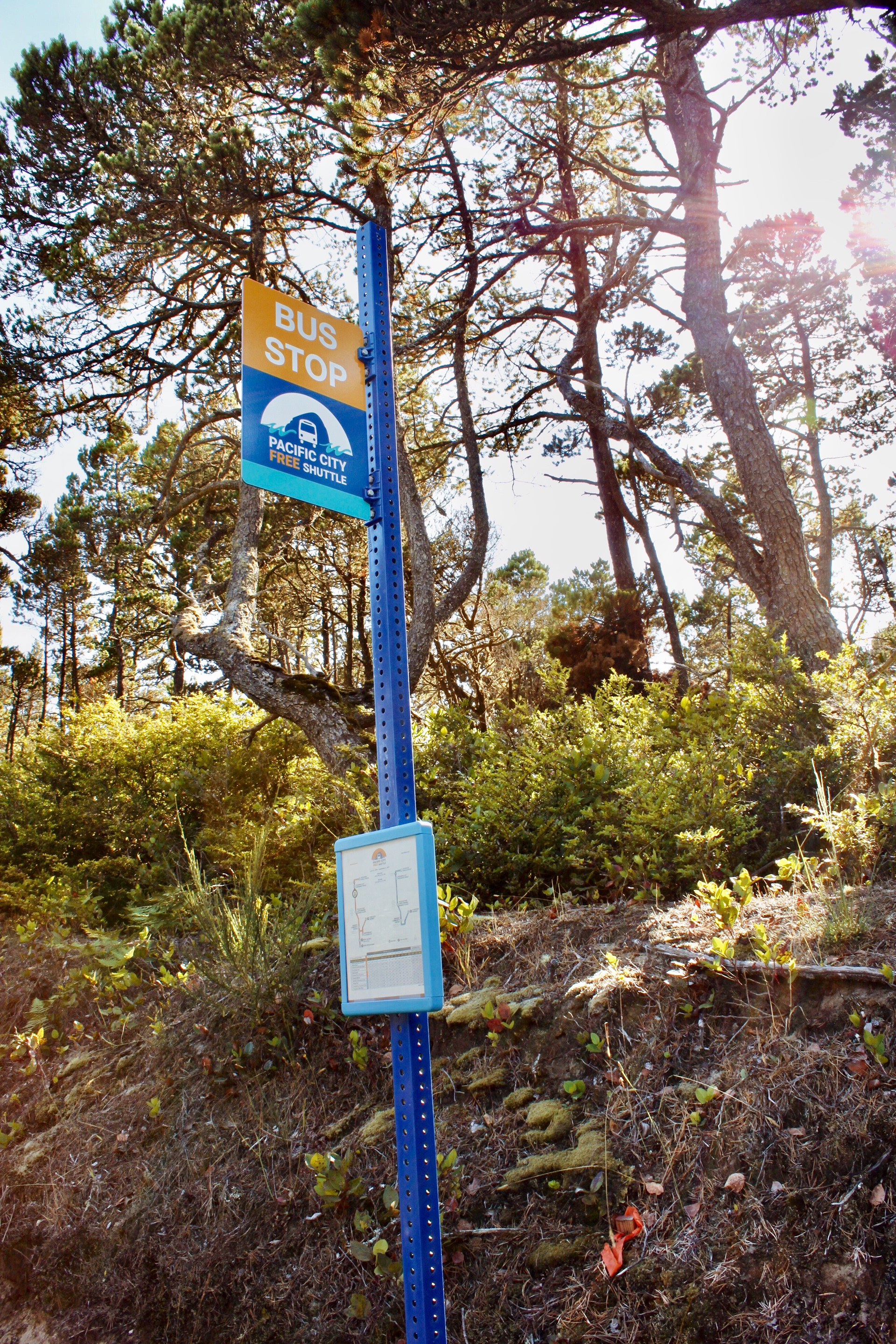 Pacific City, Oregon