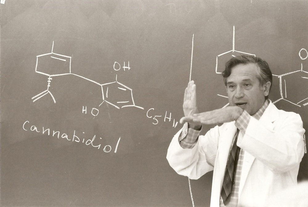 Professor Raphael Mechoulam