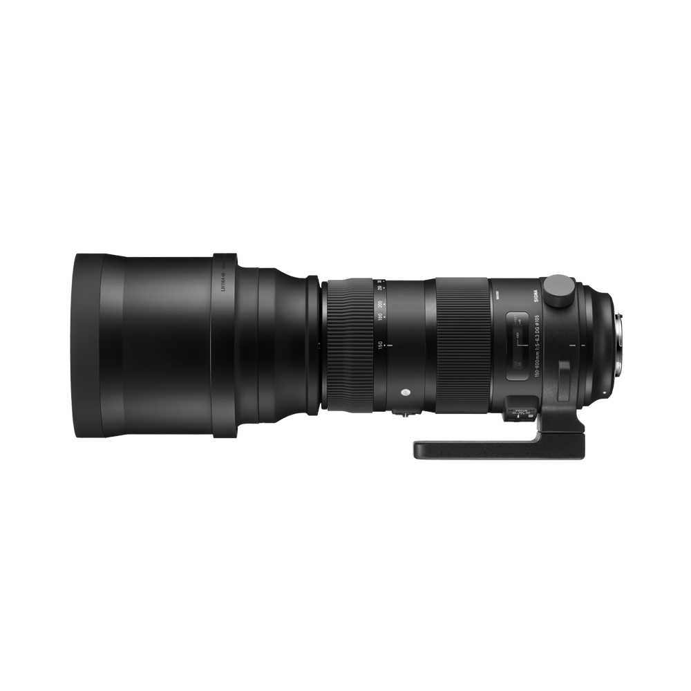 Sigma 150-600 Sport DG OS HSM