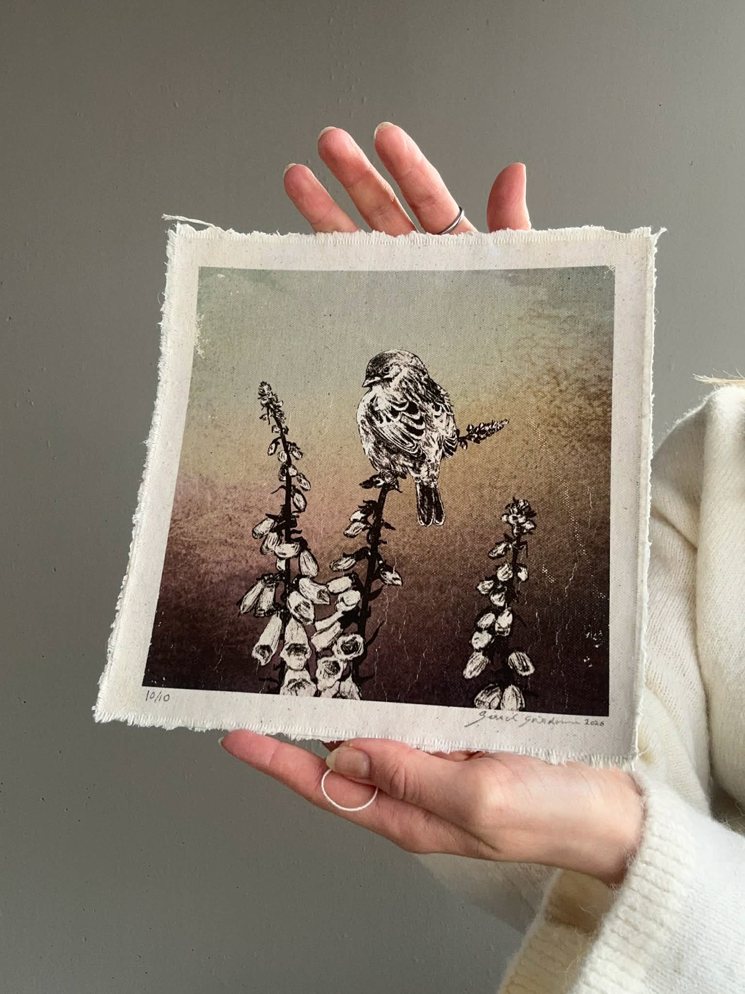 Revebjelle 10 / 10 - Stort eksemplar