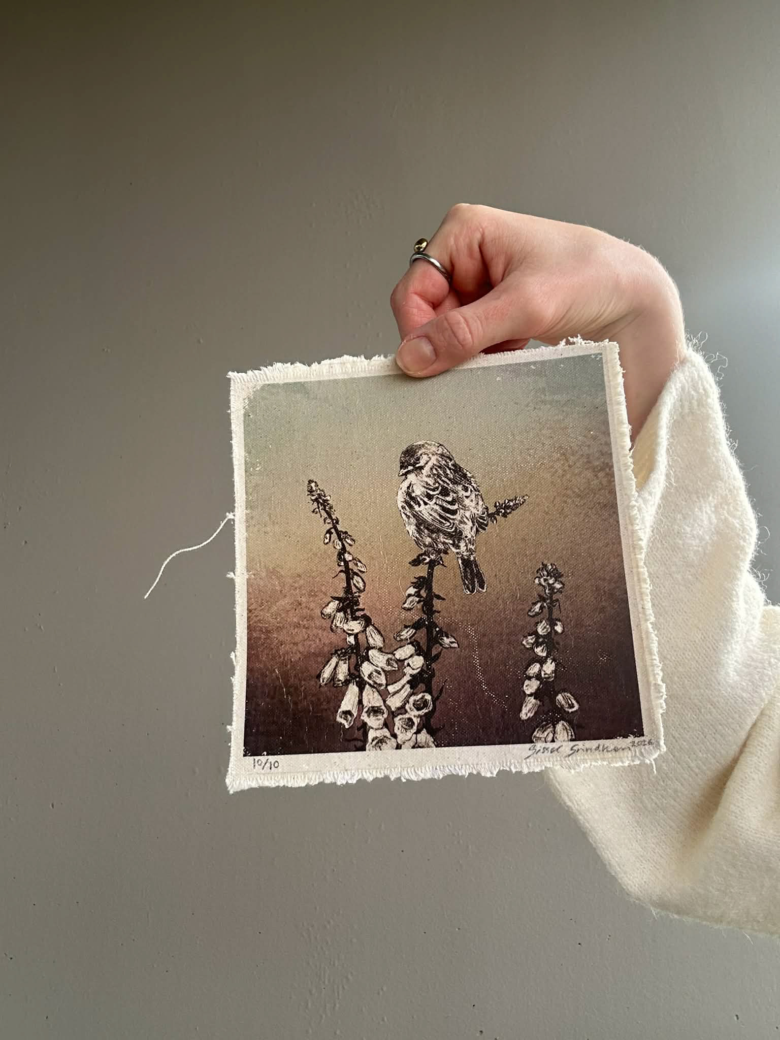 Revebjelle 10 / 10 - Lite eksemplar