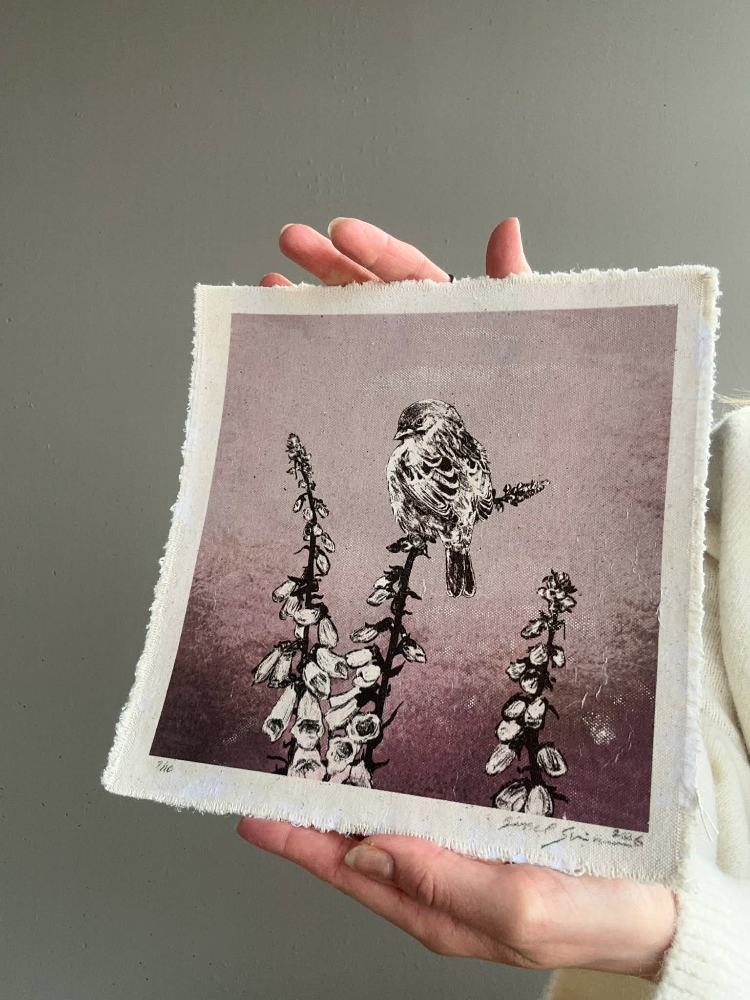 Revebjelle 7 / 10 - Stort eksemplar