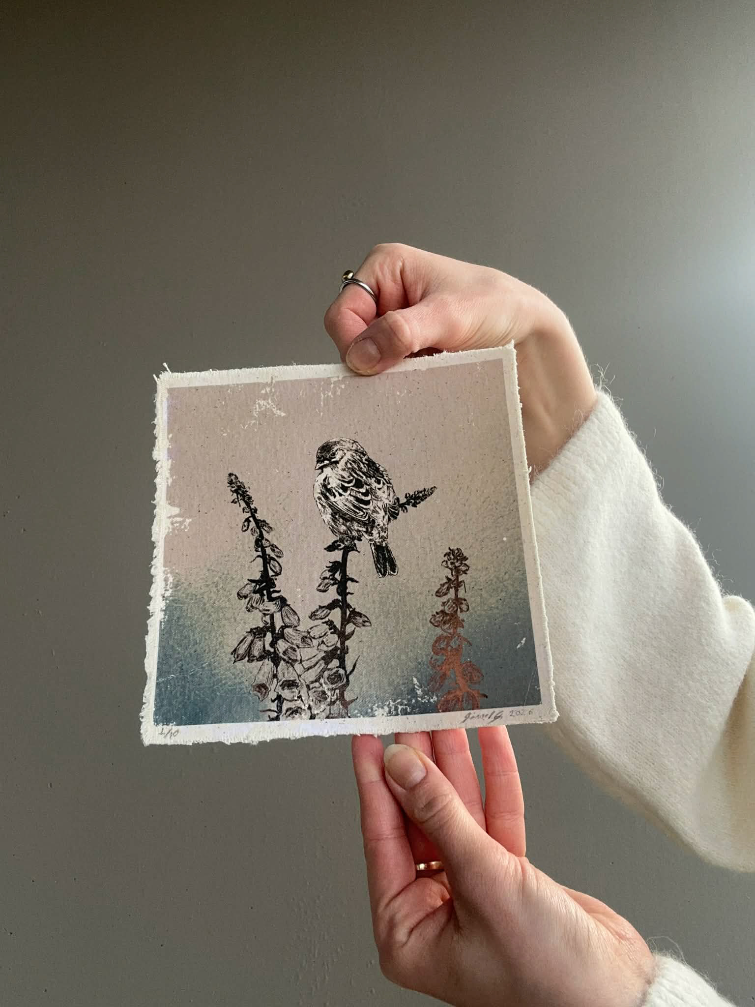 Revebjelle  1 / 10  - Lite eksemplar