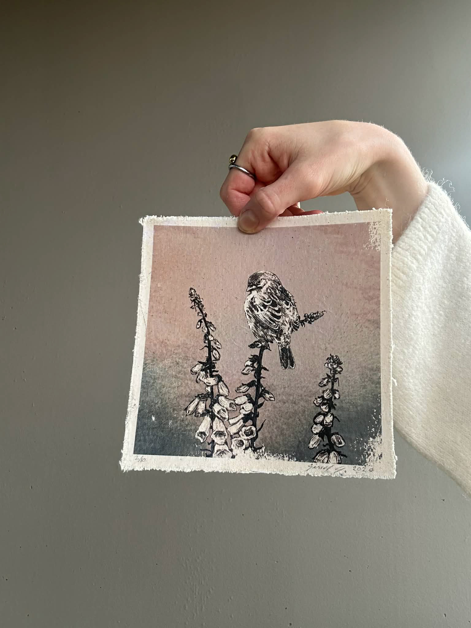 Revebjelle 2 / 10 - Lite eksemplar