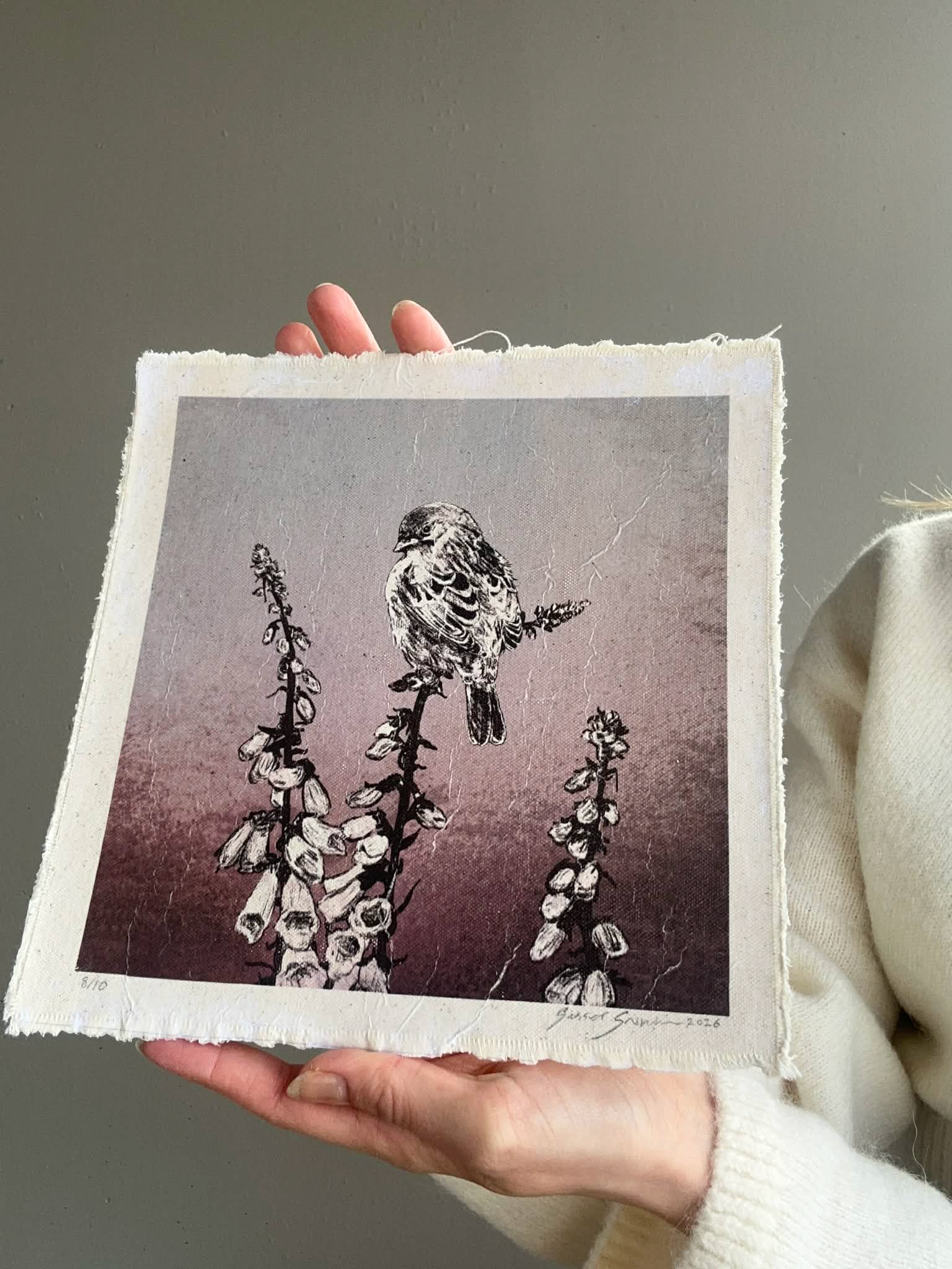 Revebjelle 8 / 10 - Stort eksemplar