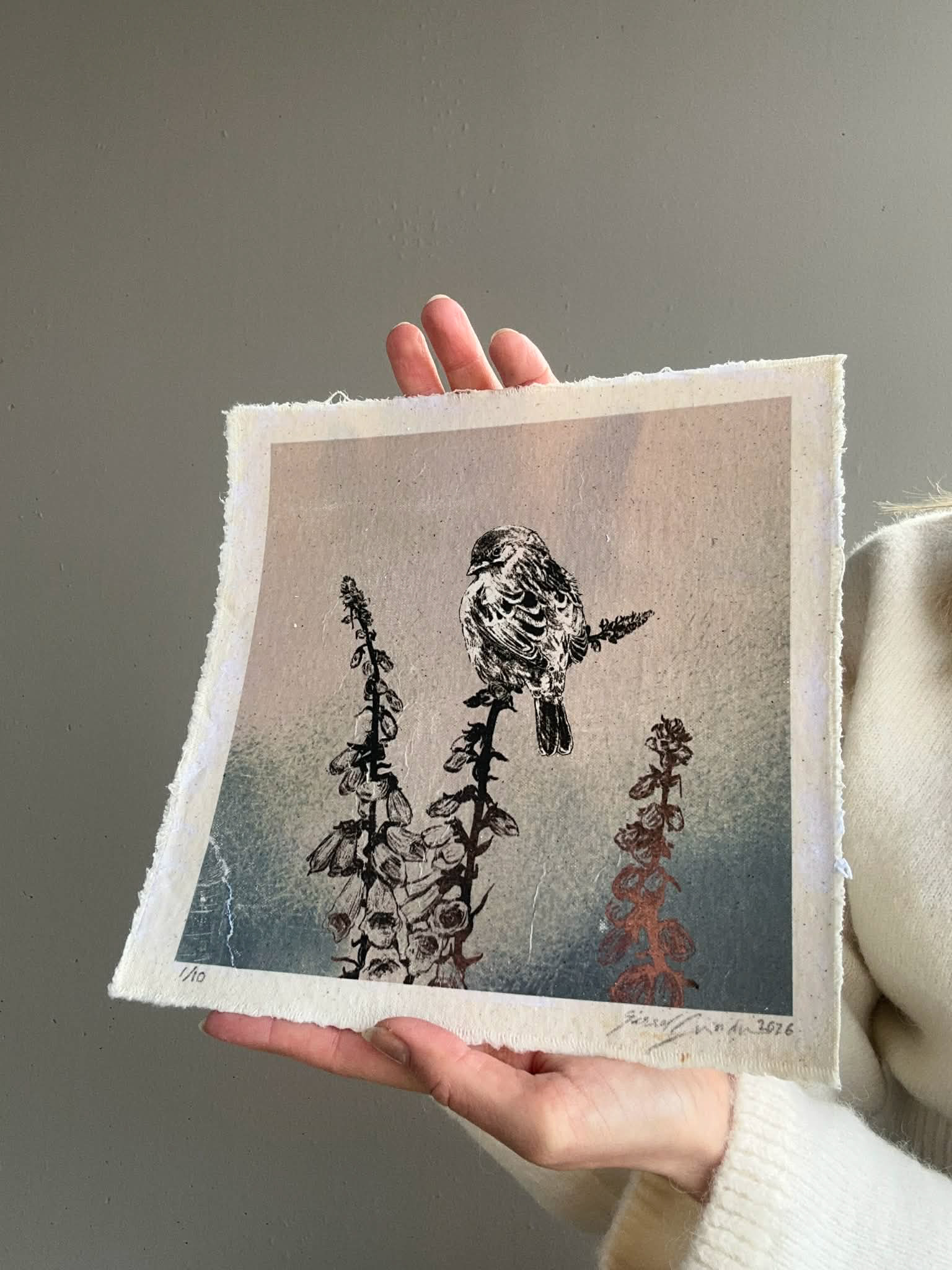 Revebjelle 1 / 10 - Stort eksemplar